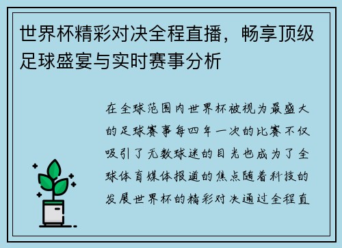 世界杯精彩对决全程直播，畅享顶级足球盛宴与实时赛事分析